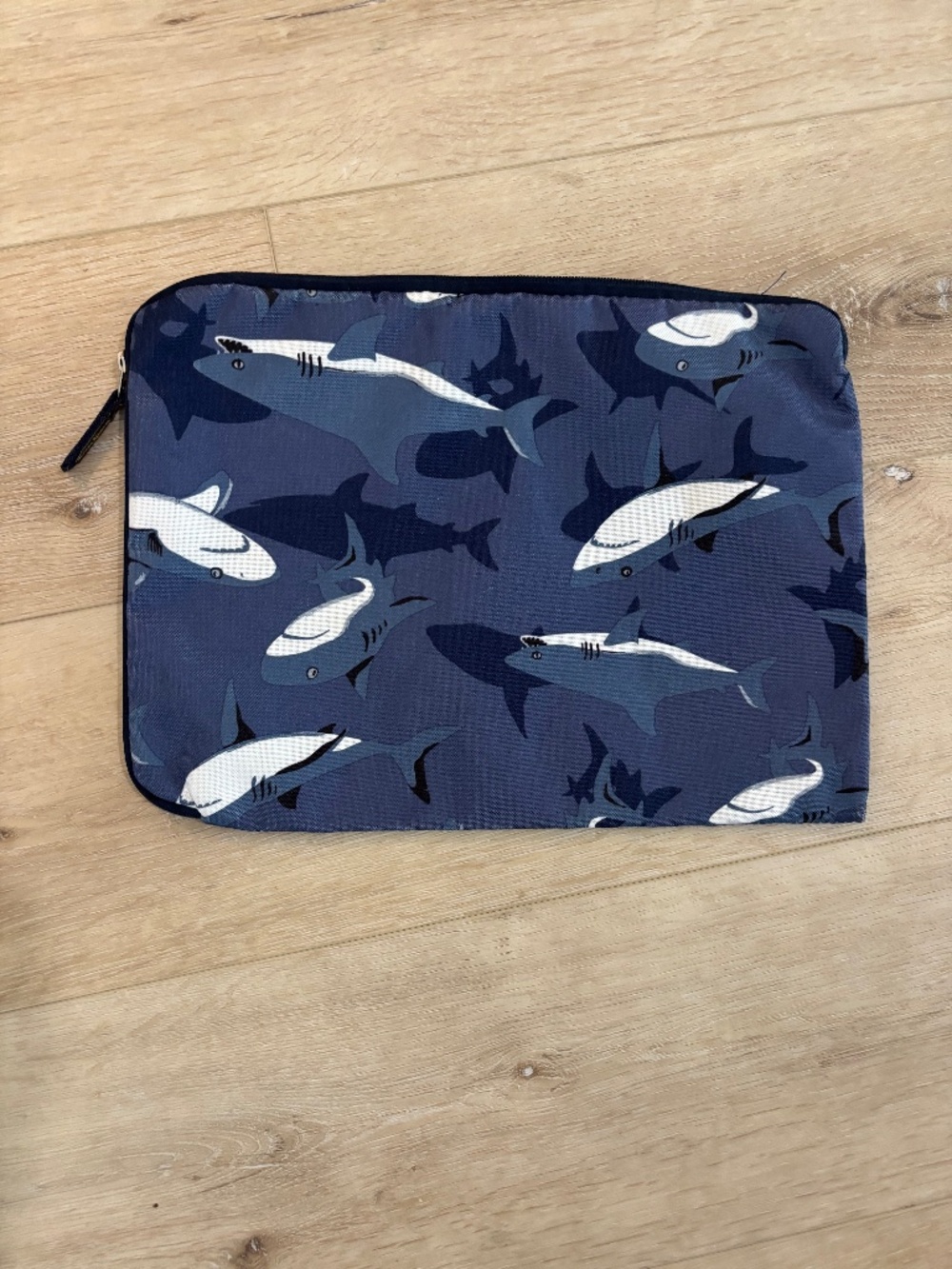 Pottery Barn kids wet dry zipper bag